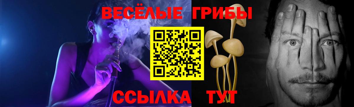 Галлюциногенные грибы Psilocybine cubensis  Вход с VPN  Кинешма  Псилоцибиновые грибы MAGIC MUSHROOMS 