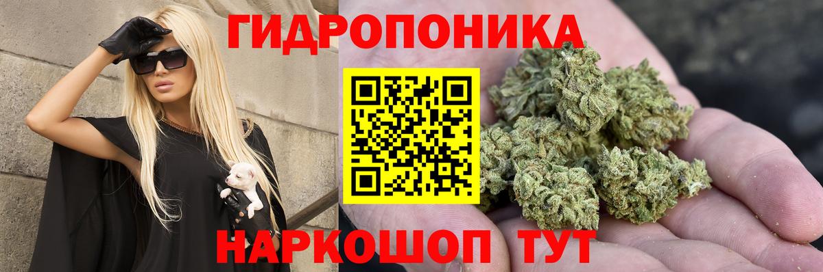 МАРИХУАНА LSD WEED Кинешма